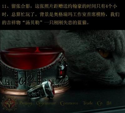 中国工艺师打造出指环王顶级道具(图)