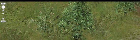  监管持续防堵银保案件源头风险