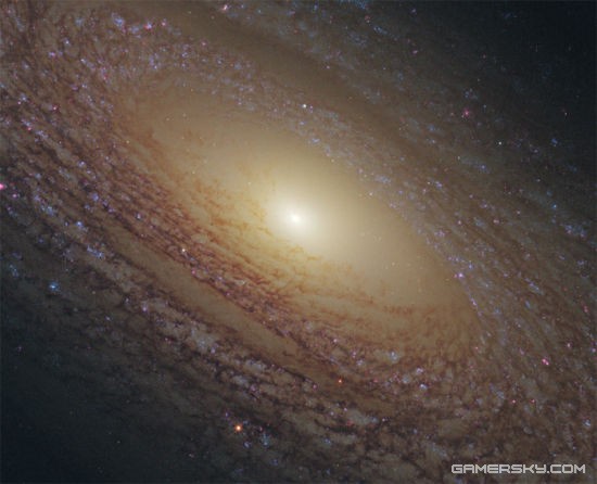 宇宙这么大，如果只有我们，那是不是太浪费地方了？但是既然宇宙中还存在着其他的生命，那么它们在哪儿呢？