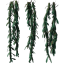 vines.png