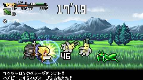 64.jpg