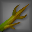 Cycas_Icon.png